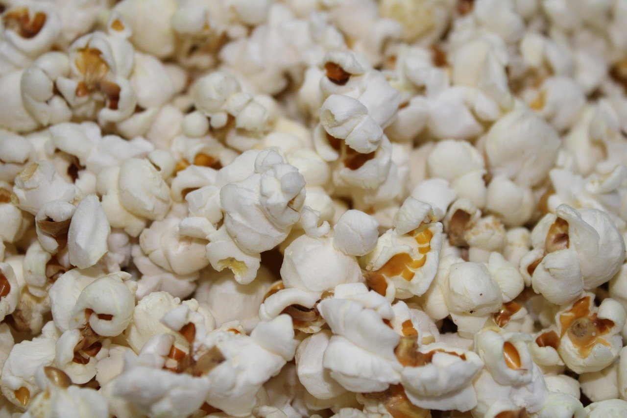 Decoding Reality: Documentarys Influence On Perception And Public Discourse.